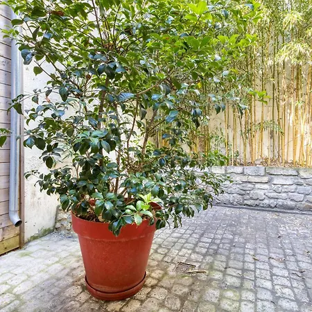 Appartement Lovely In With Wifi La Rochelle (Charente-Maritime)